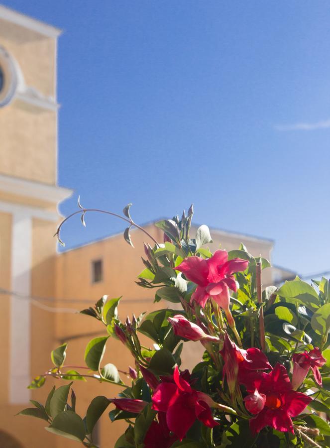 Adelfia B&B San Trifone מראה חיצוני תמונה